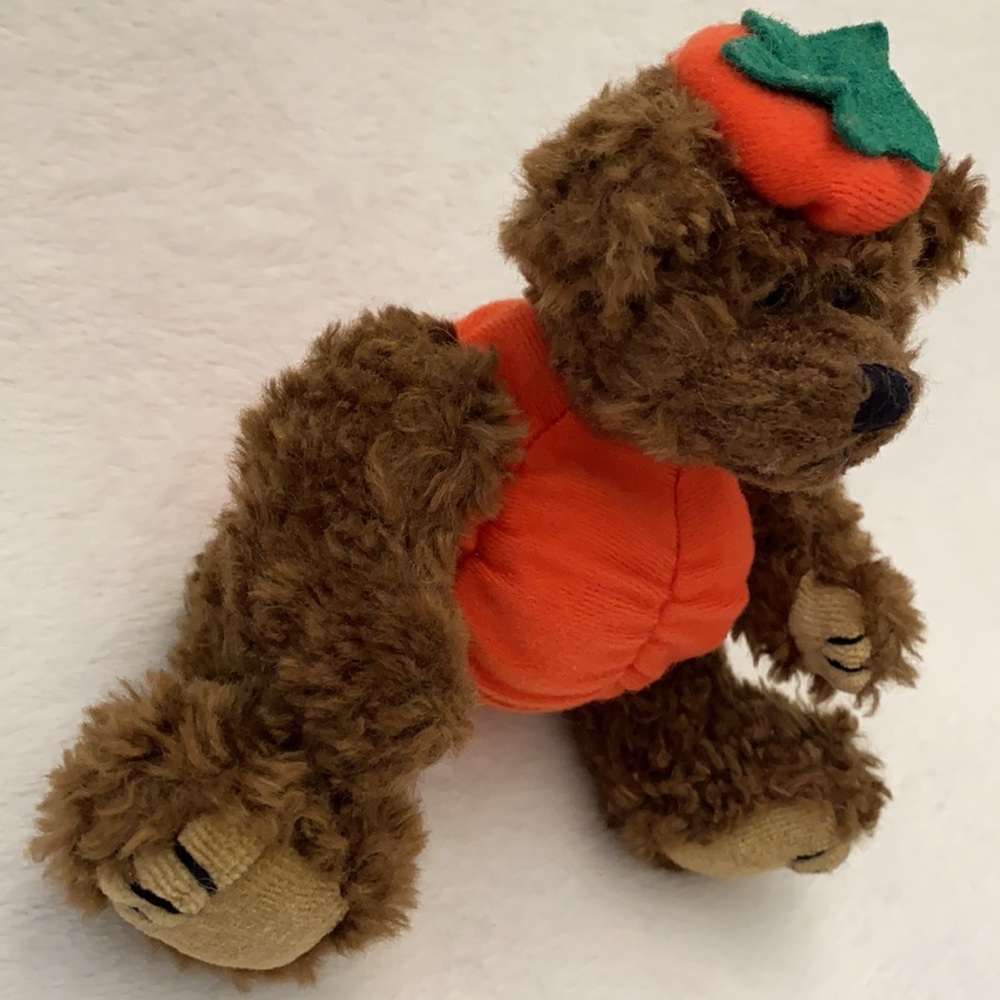 {VTG} Ty | 1993 Peter “Trick or Treat!” Pumpkin Halloween Fall Stuffed Bear - Picture 5 of 16